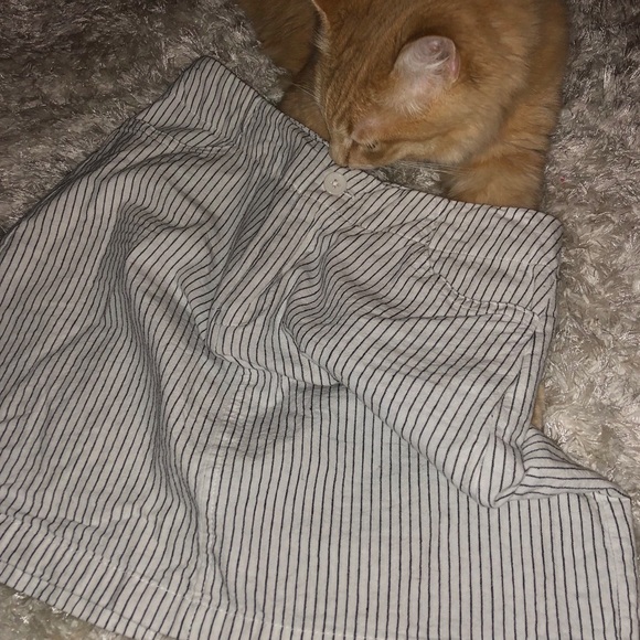 Brandy Melville Striped Skirt - Picture 6 of 6